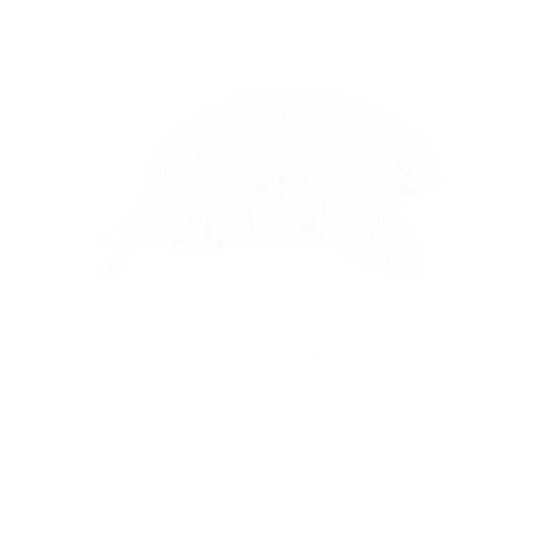 SIXTY 2 SIXTY ART GALLERY LOGO NO BACKGROUND WHITE small